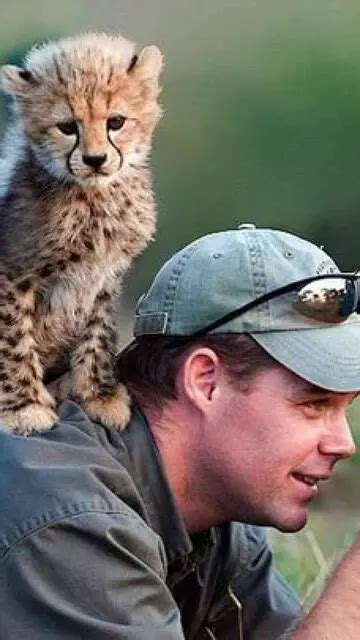 13 Pictures Capturing Animals Interrupting Wildlife Photographers ...