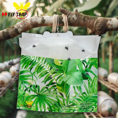 How to Get Rid of Flies - Fly Control Using Fly Trap - FlyTrap®