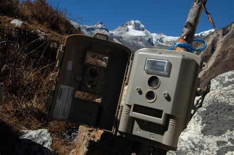 Camera Traps 的图像结果