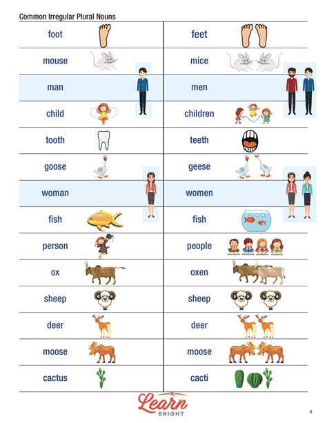 Irregular Plural Nouns Worksheet