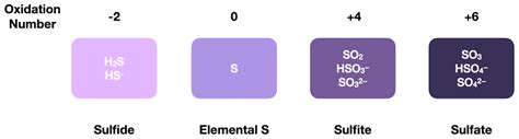 Sources of Nitrogen-, Sulfur-, and Phosphorus-Containing Feedstocks for ...