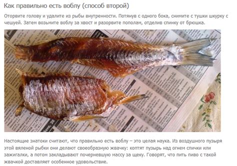 Как чистить воблу сушеную? Как правильно кушать воблу? Vovet.ru