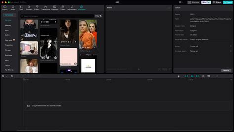 We Love Green 2025: Lineup, Dates & Creating Festival Videos