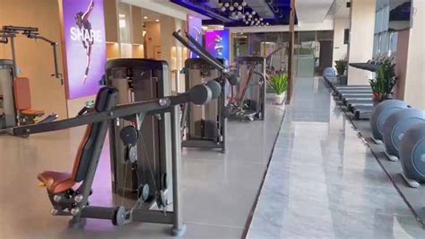 Image result for Paddle Exercise Machine