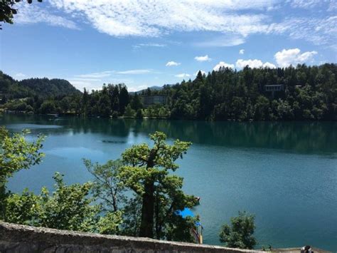 Balkanski kralj banana kupio vilu na Bledu - B92