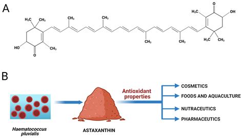 Astaxanthin Delivery Systems for Skin Application: A Review