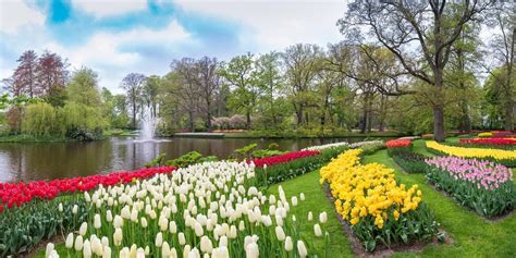 12 Most Romantic Places To Visit In Amsterdam On Honeymoon