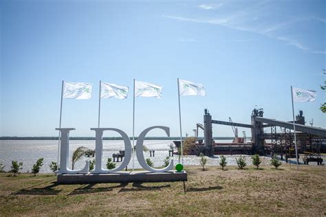 Image result for Ball Python Collages