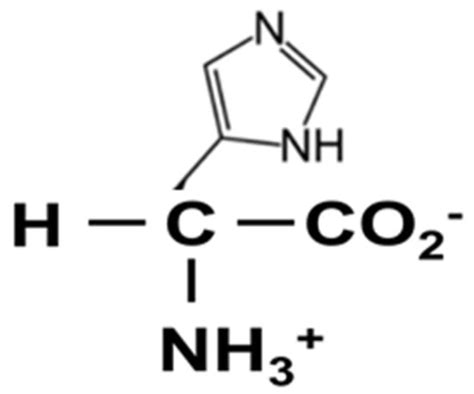 Assessment of the Amino Acid L-Histidine as a Corrosion Inhibitor for a ...