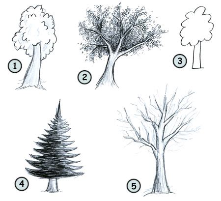 Image result for Drawing Using Perspective