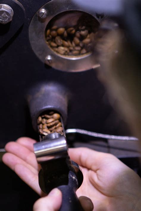 Coffee Processing Technology 的图像结果