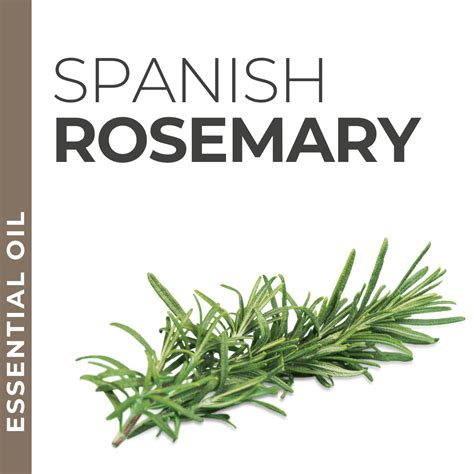 Essential Oils for Private Label Products – Pravada Private Label