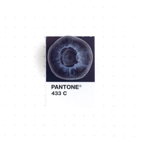 Pantone 433 C | Pantone, Color matching, Pantone colour palettes