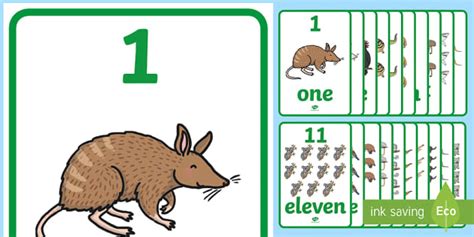 Australian Animals Numbers 1-20 Display Posters