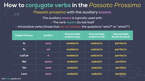 How To Use Essere And Avere In Italian! – ZSON