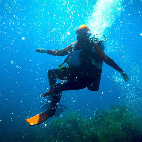 What Are The Bends In Pearl Diving at Yolanda Westbrook blog