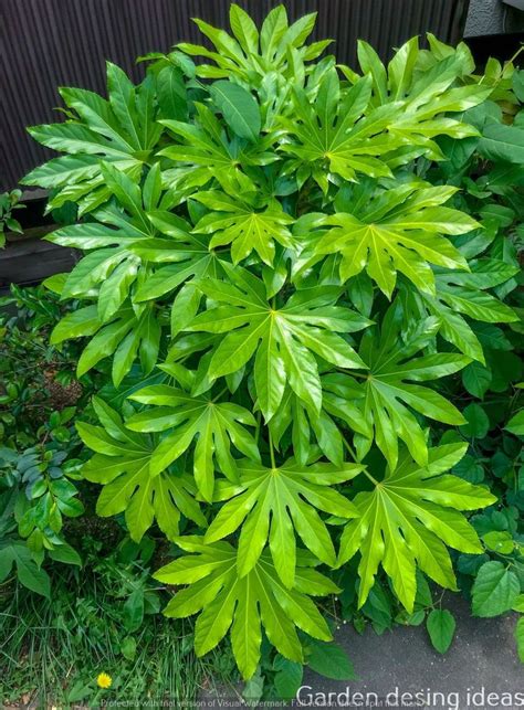 1 acre backyard landscaping ideas
