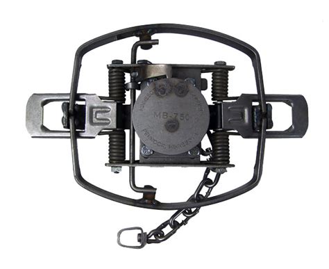 Buff Spring Trap 的图像结果