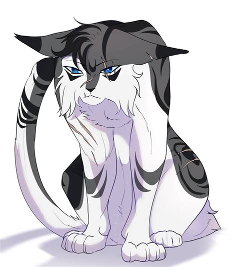 Image result for Ivypool Map Open