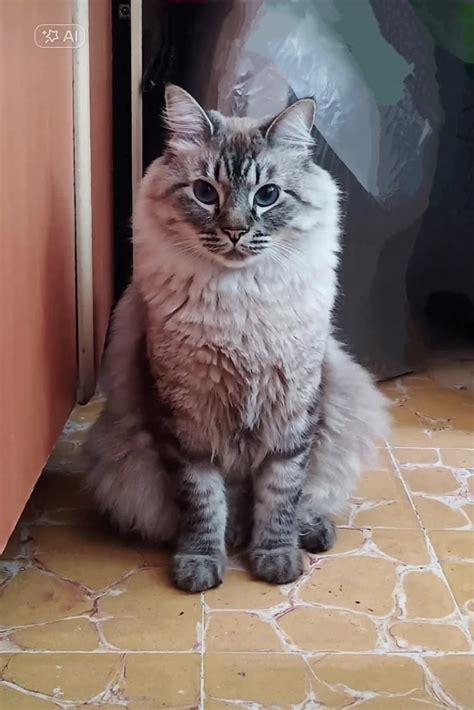 Being transparent and showing my work | GemBabyy (@gembabyyoxox)