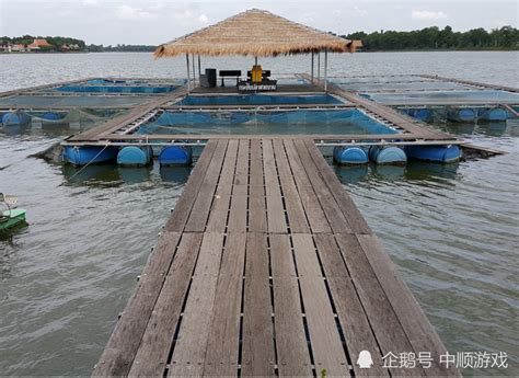 2014级水产养殖学专业本科生产实习圆满结束-中国水产科学研究院淡水渔业研究中心