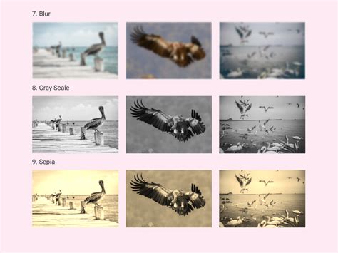 Image result for CSS Image Hover Effects