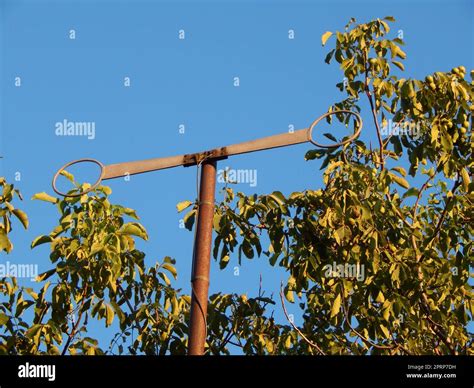 TV antenna mast on the pole for communication Stock Photo - Alamy