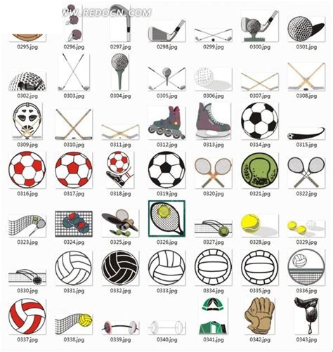 不同种类的体育用品插画合辑EPS素材免费下载_红动中国