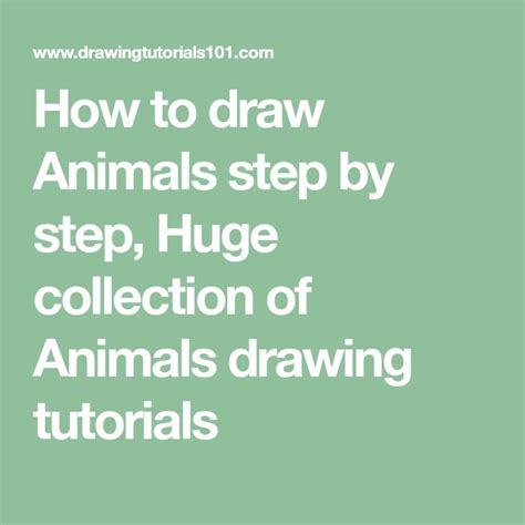 Image result for Beginner Animal Drawing Tutorials