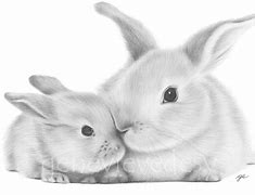 Image result for Cute Bunny Art Print