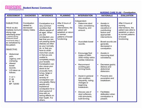 Nursing Care Plan Template