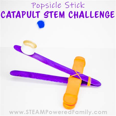 Image result for Catapult Science Project