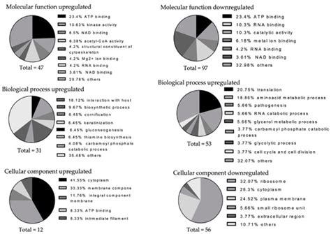 Antibiotics | Special Issue : Oral Microorganisms and Inactivation of ...