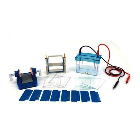 Buy WYTROL Electrophoresis Gel Electrophoresis Cell Mini Modular Dual ...