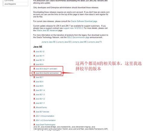 Java 64-Bit 1.8.0 Download 的图像结果