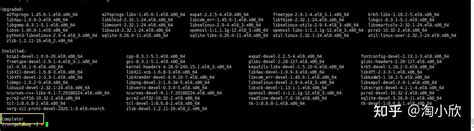 Python 3.6.8 Fedora 的图像结果