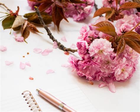 Download wallpaper 1280x1024 pen, notepad, flowers, white, aesthetics ...