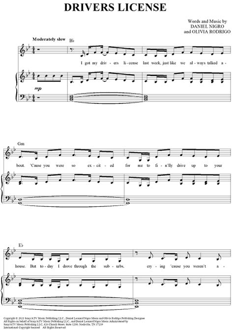 Image result for Drivers License Backing Track