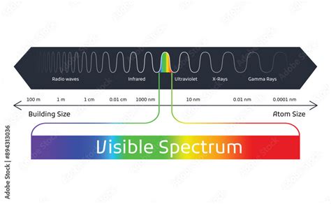 Image result for Visible Spectrum Explained
