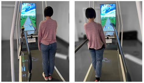 A Serious Game for the Assessment of Visuomotor Adaptation Capabilities ...