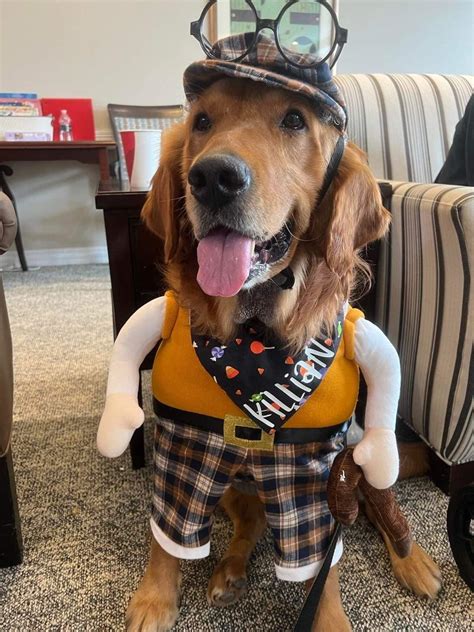 Howling Halloween Costumes For Dogs - Alliance of Therapy Dogs Inc.