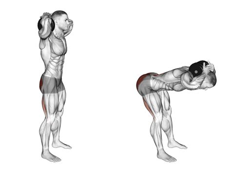 5 Best Lower Back Exercises With Dumbbells (with Workout Program!) - Inspire US