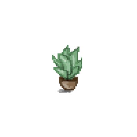 Plant Gif Animated