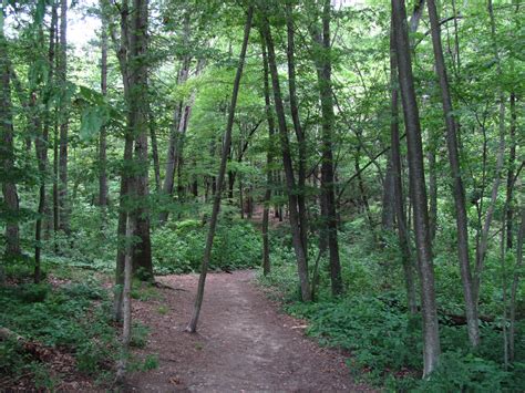 Southaven County Park Camping | Brookhaven, NY