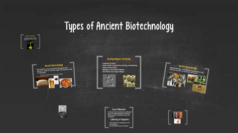 Ancient Biotechnology 的图像结果
