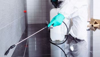 Termite Control Methods in Buildings -BuildersMART