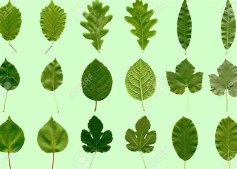 Image result for Single Source Shortest Path Algorithm Difference