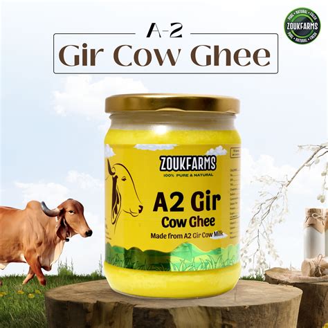 A2 Gir Cow Ghee | Bilona Method – Zoukfarms