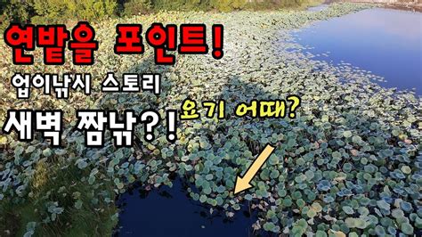 Image result for Isme Lesson Plan Paper Encoding and Decoding PDF