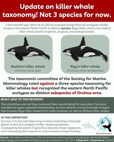 Update on killer whale taxonomy: Morin et al. (2024) proposed recognizing Bigg’s and resident ...